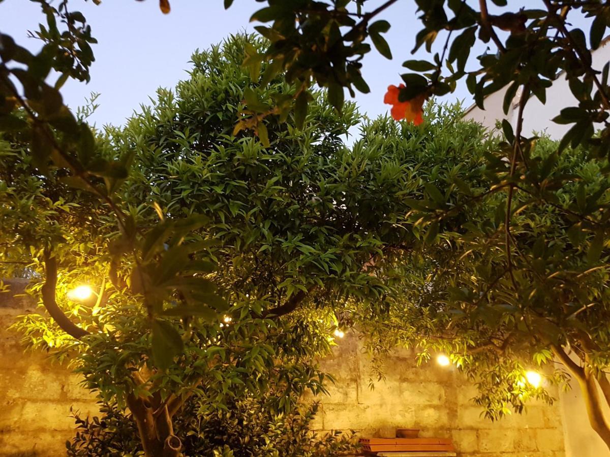 Casa Vacanze Nonna Maria 카르피냐노 살렌티노 외부 사진